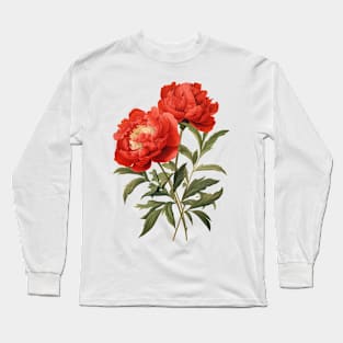 Botanical illustration of peonies Long Sleeve T-Shirt